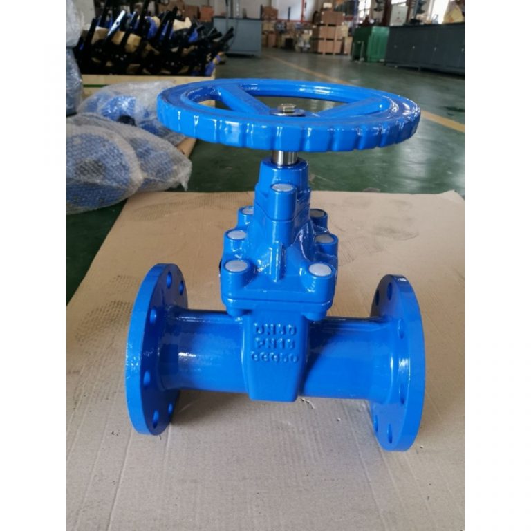 Resilient Seat Non-Rising Stem Gate Valve (DIN F5) (2)