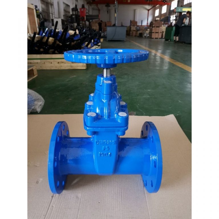 Resilient Seat Non-Rising Stem Gate Valve (DIN F5) (3)