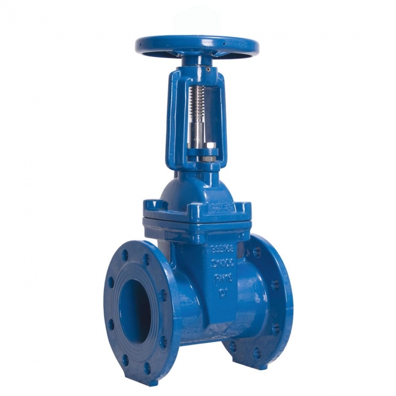 Resilient Seat Rising-Stem Gate Valve (BS5163) (1)