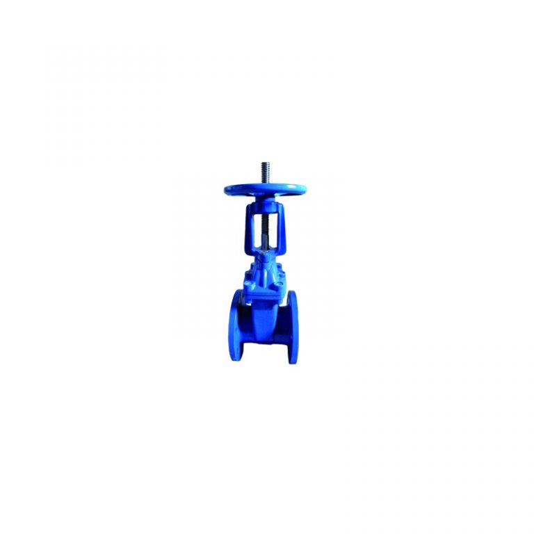 Resilient Seat Rising Stem Gate Valve (DIN F4) (1)