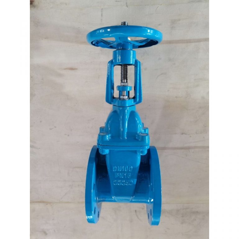 Resilient Seat Rising Stem Gate Valve (DIN F4) (4)
