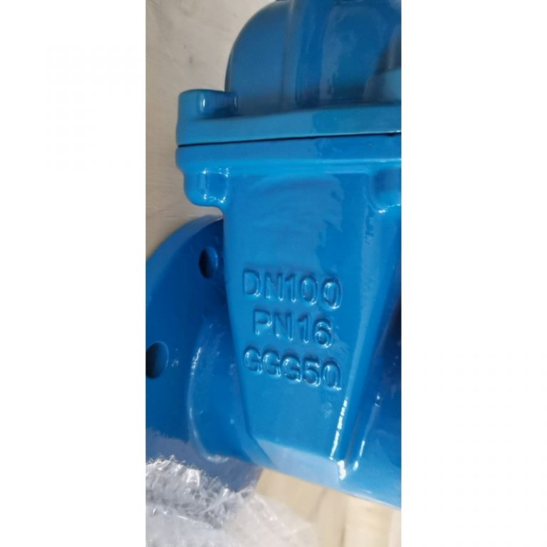 Resilient Seat Rising Stem Gate Valve (DIN F4) (6)