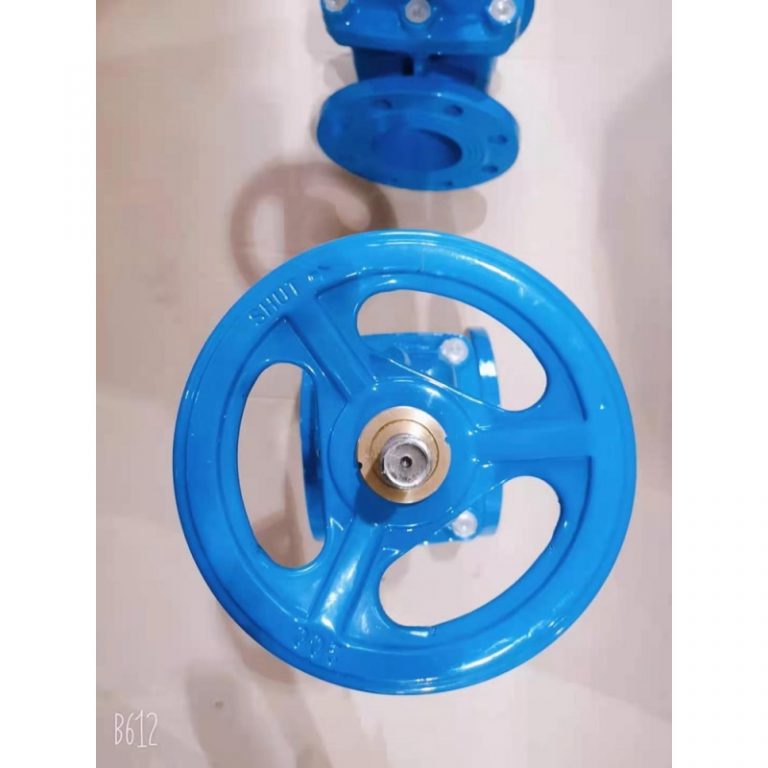 Resilient Seat Rising Stem Gate Valve (DIN F4) (7)