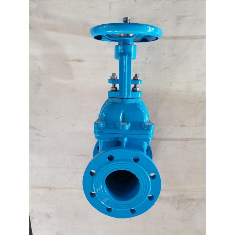 Resilient Seat Rising Stem Gate Valve (DIN F4) (8)