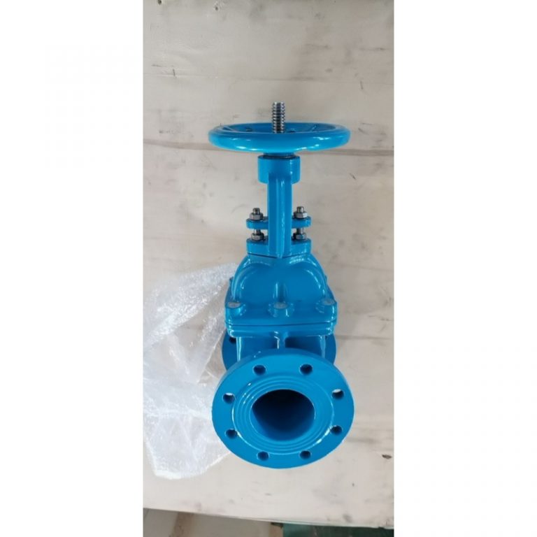 Resilient Seat Rising Stem Gate Valve (DIN F4) (9)
