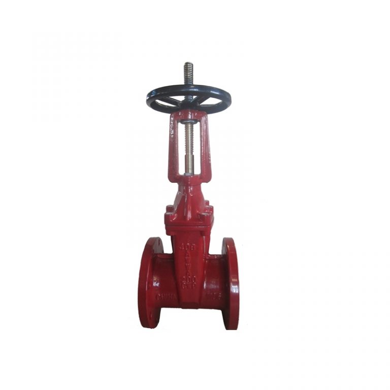 Rising Stem Resilient Seated Gate Valve (ANSI16 (1)