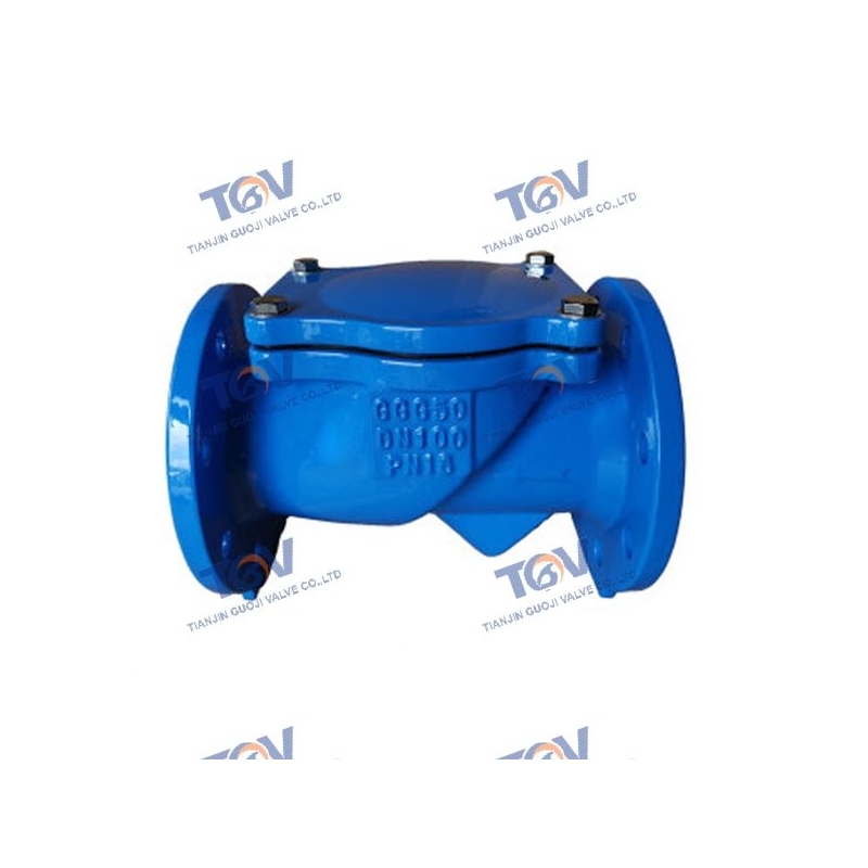 Rubber Disc Check Valve (2)