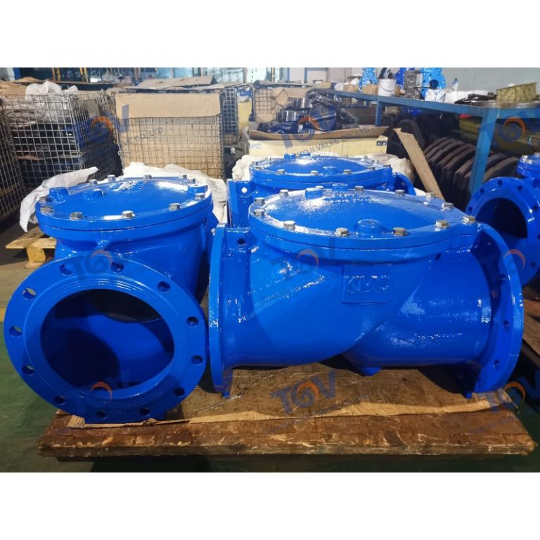 Rubber Disc Check Valve (4)
