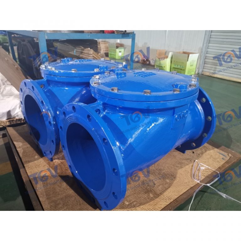 Rubber Disc Check Valve (5)