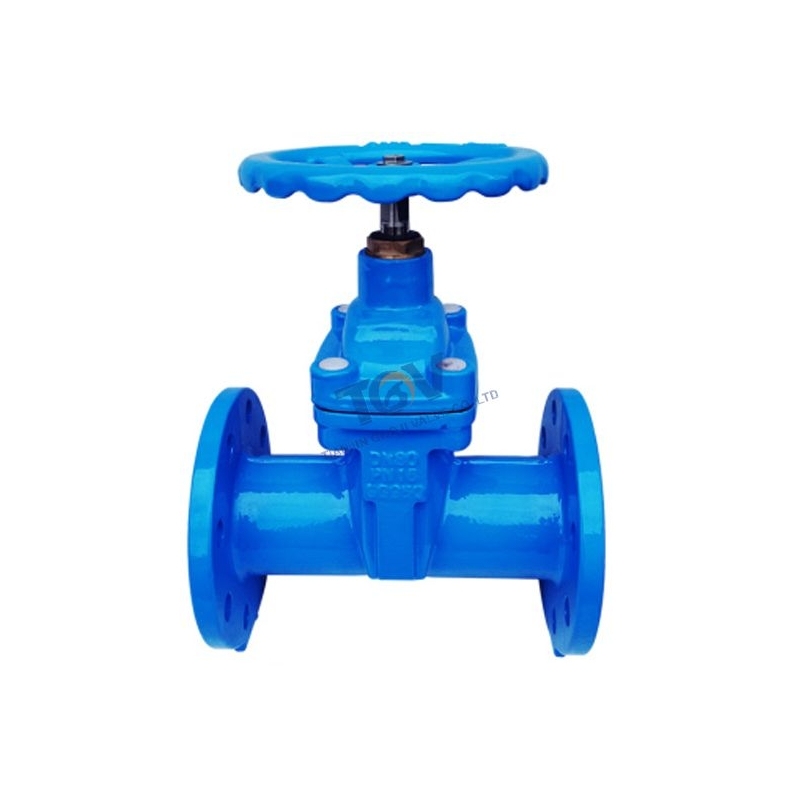 SABS664 Non-Rising Stem Gate Valve (2)