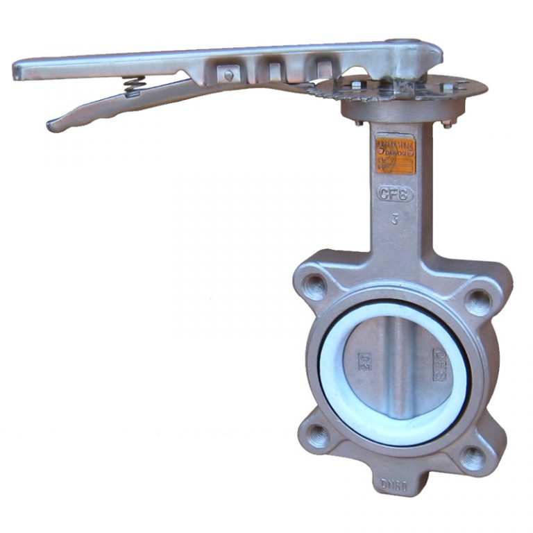 Stainless Steel Lug Butterfly Valve (2)