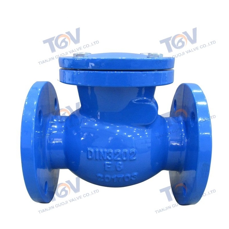 Swing Check Valve (1)
