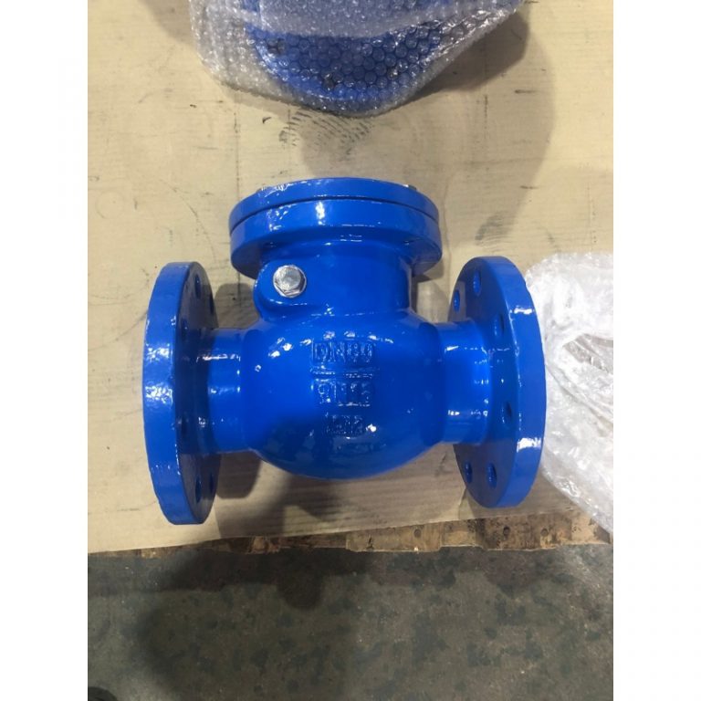 Swing Check Valve (3)