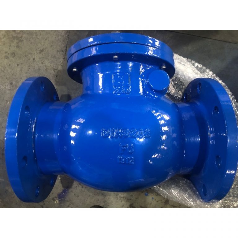 Swing Check Valve (4)
