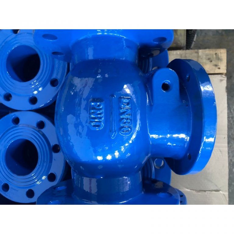 Swing Check Valve (5)