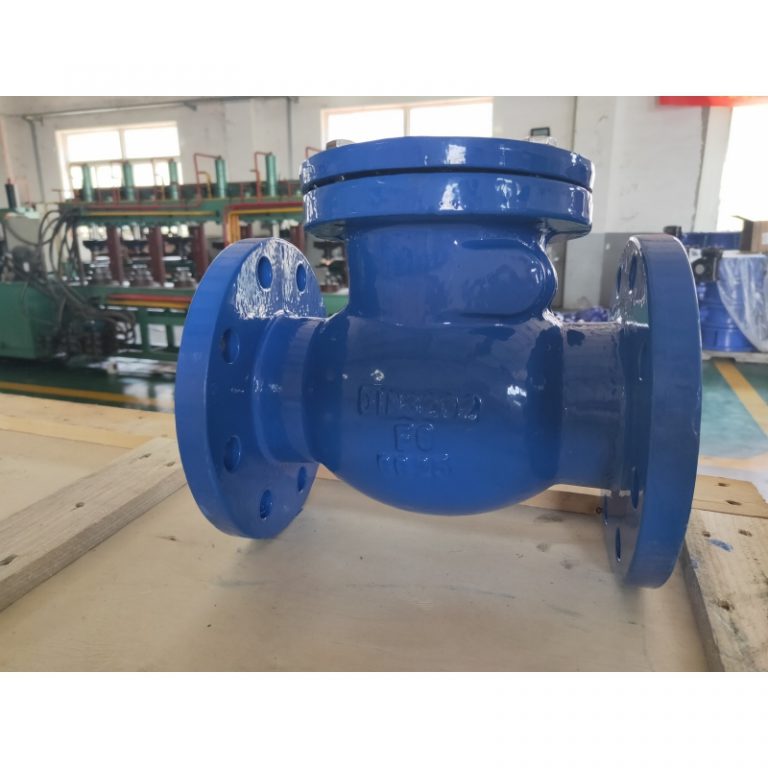 Swing Check Valve (6)