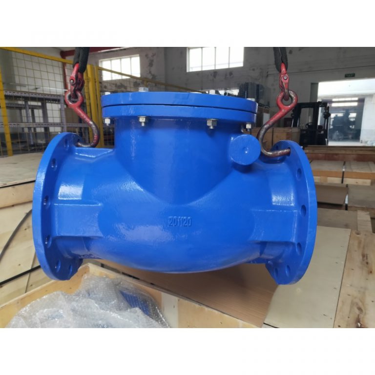 Swing Check Valve (7)