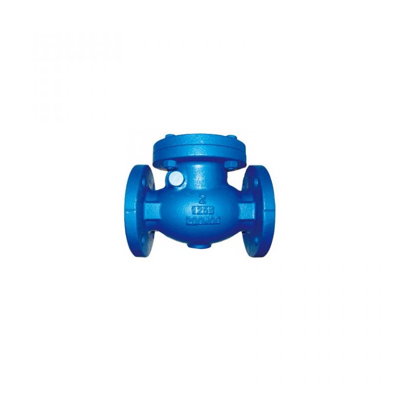 Swing Check Valve (ASME B16 (1)