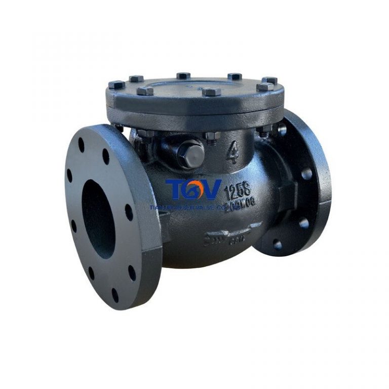 Swing Check Valve (ASME B16 (3)