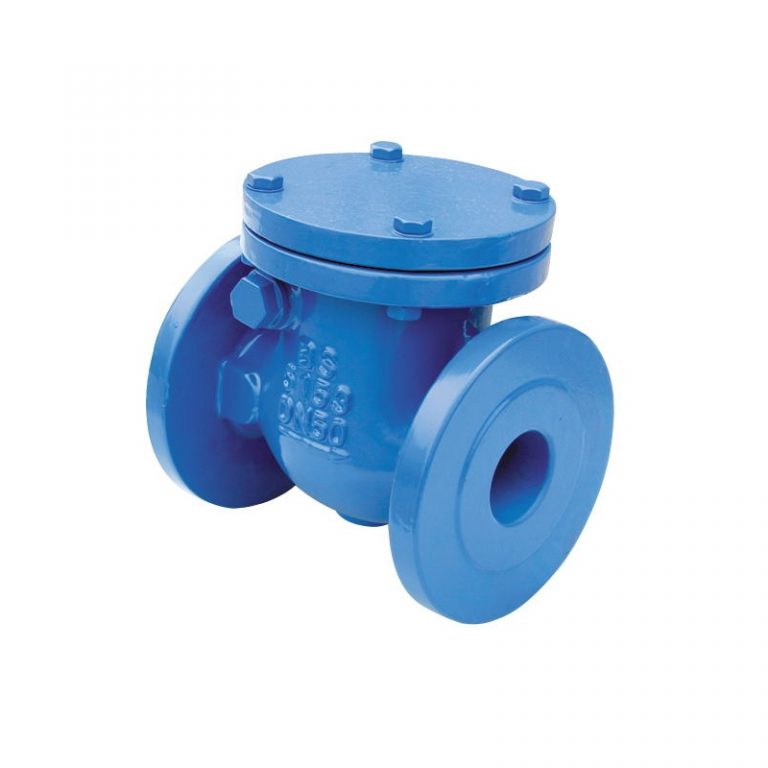 Swing Check Valve (BS5153) (1)