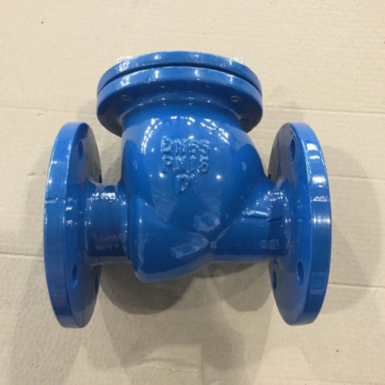 Swing Check Valve (BS5153) (4)