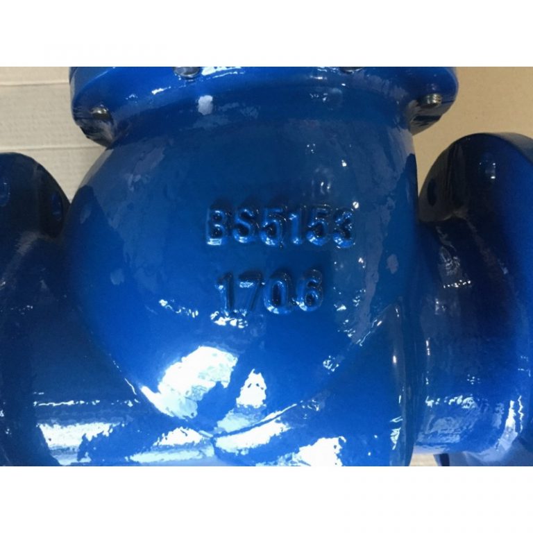 Swing Check Valve (BS5153) (6)