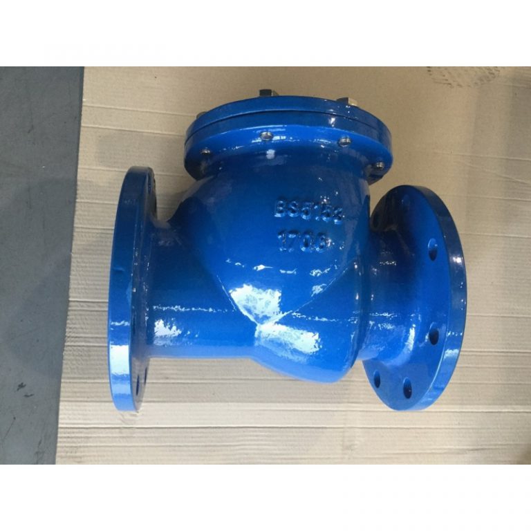 Swing Check Valve (BS5153) (7)