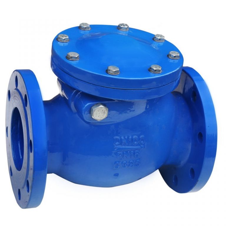 Swing Check Valve (DIN3202 F6) (1)