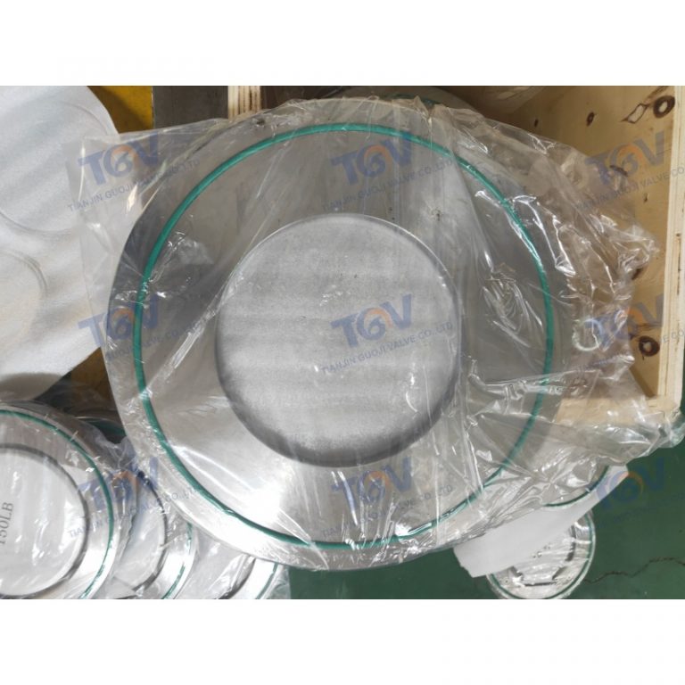 Swing Single Disc Wafer Check Valve (1)