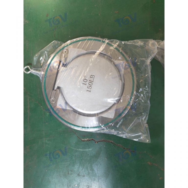 Swing Single Disc Wafer Check Valve (4)