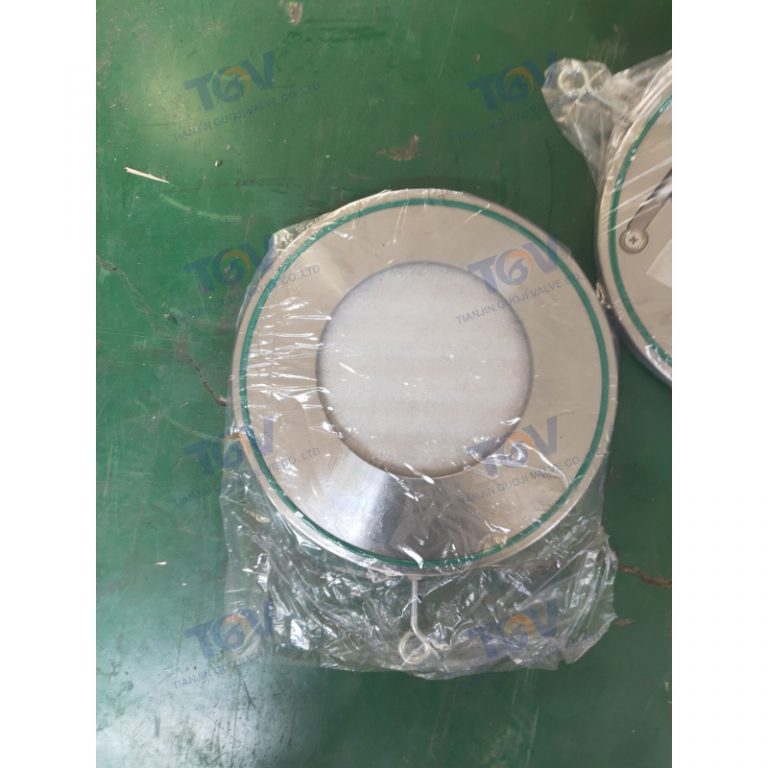 Swing Single Disc Wafer Check Valve (5)