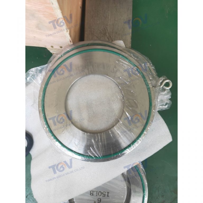 Swing Single Disc Wafer Check Valve (7)