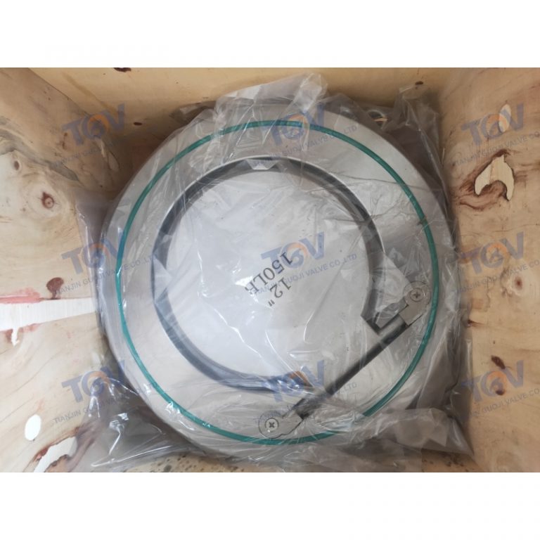Swing Single Disc Wafer Check Valve (8)