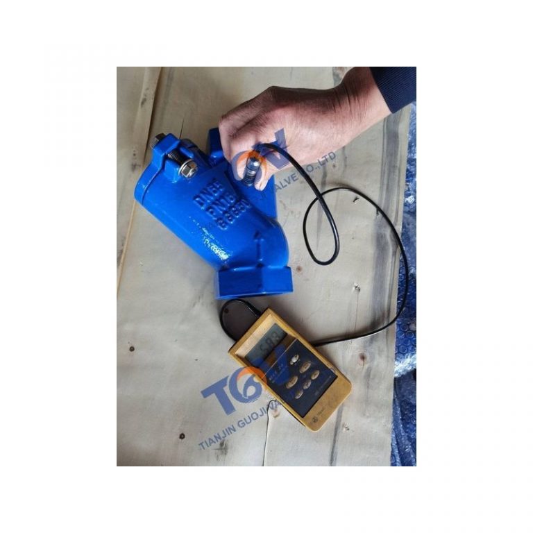 Threaded Ball Check Valve (1)