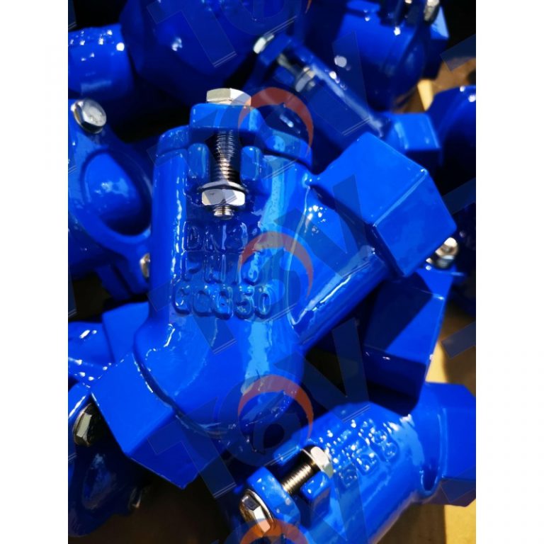 Threaded Ball Check Valve (5)