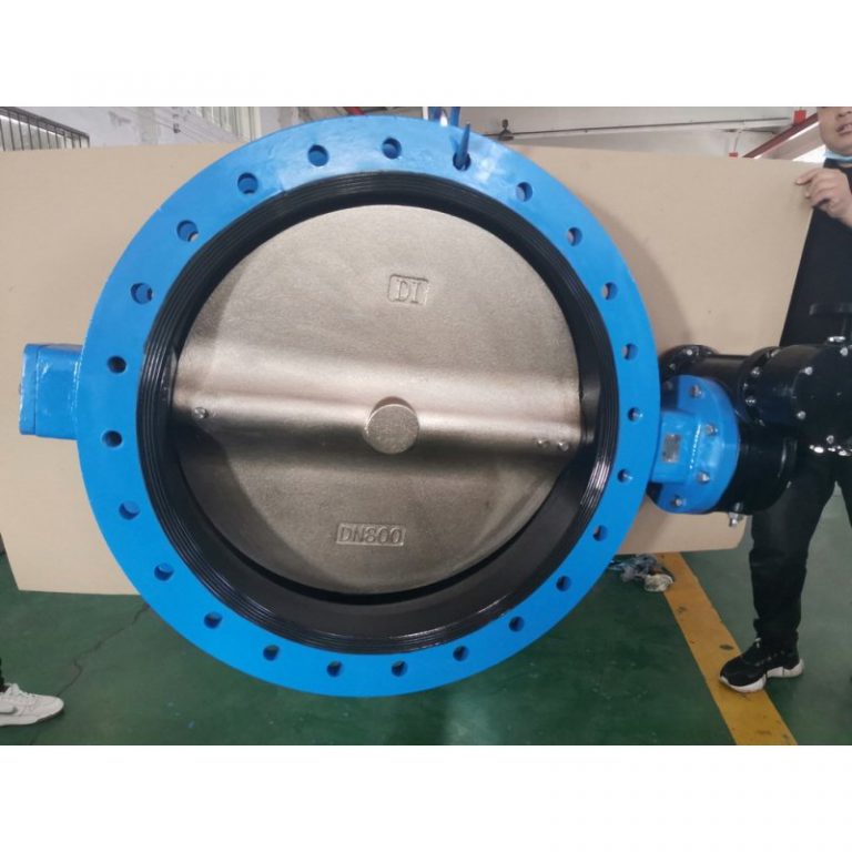 U Type Butterfly Valve (4)