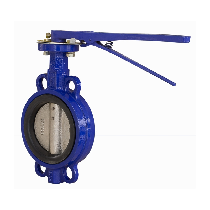 Wafer Butterfly Valve (1)