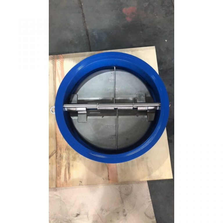 Wafer Dual Check Valve (3)