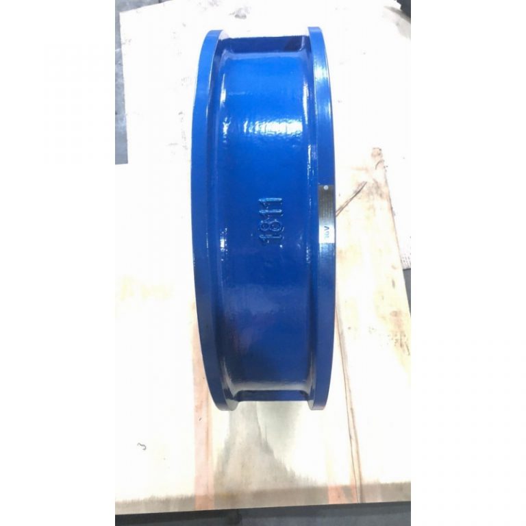 Wafer Dual Check Valve (5)