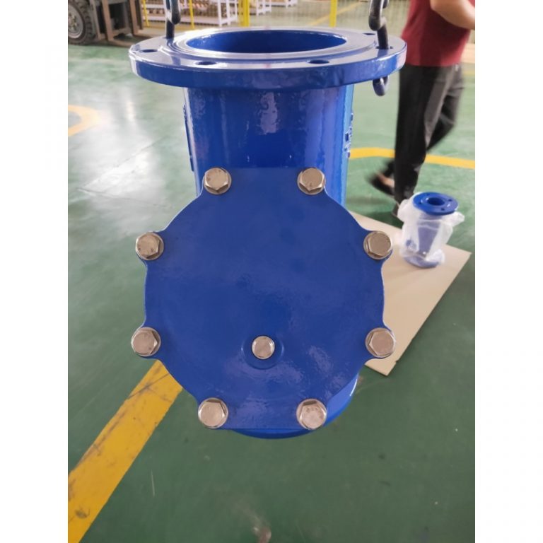 Y-Strainer (DIN F1) (6)