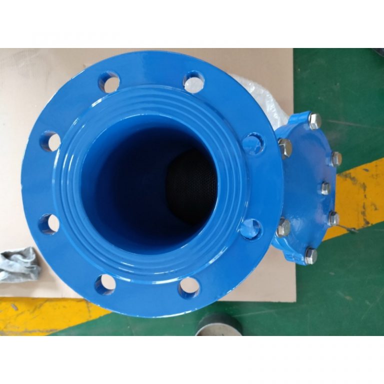 Y-Strainer (DIN F1) (8)